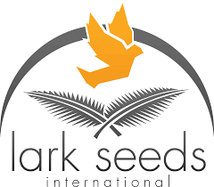 Lark Seeds International